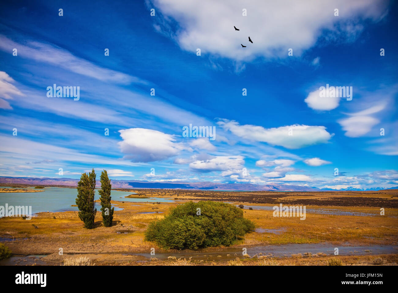 Patagonia argentina en febrero. Scorched plano amarillo desierto con lagos poco profundos Foto de stock