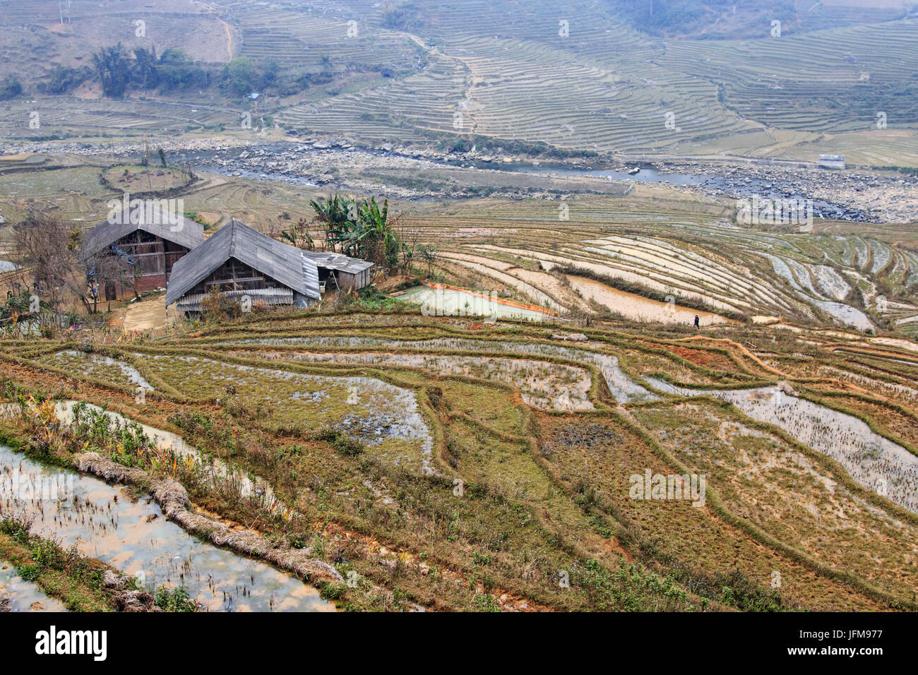 Casa aislada entre las terrazas de arroz de Sapa en Vietnam del norte Foto de stock
