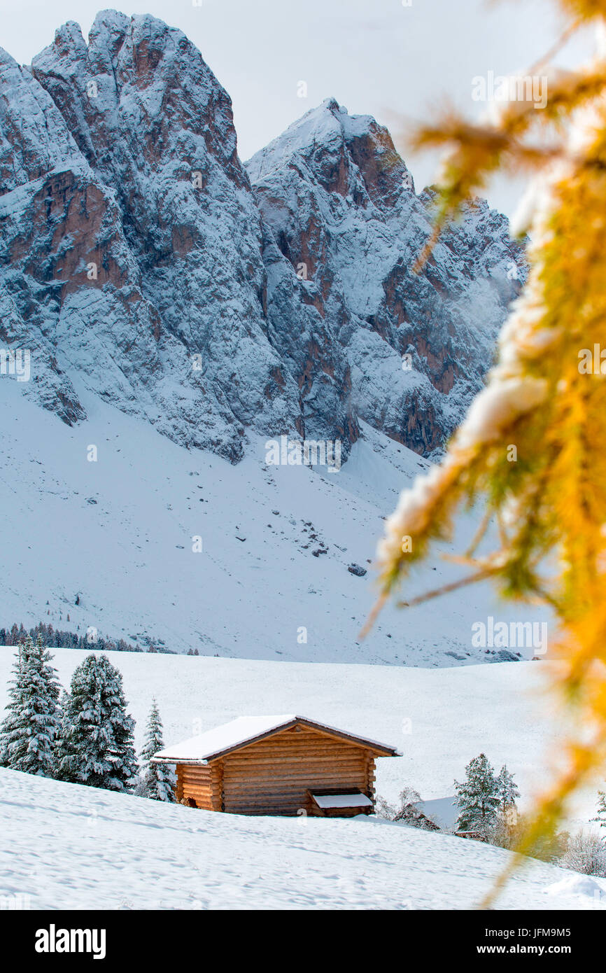 Trentino Alto Adige, Italia, otoño pintoresco exterior, follaje y verdes colinas con árboles nevados, Funes Valle, Dolomitas Alpes. Foto de stock