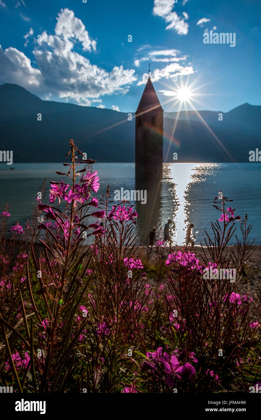 Reschen Lake es un lago artificial en la parte occidental del Tirol del Sur, Italia, al sur de la Reschen Pass, que forma la frontera con Austria, y al este de la montaña, formando la frontera con Suiza, el lago es famoso por el campanario sumergido de una iglesia del siglo 14, cuando el agua se congela, esto se puede llegar a pie. Foto de stock