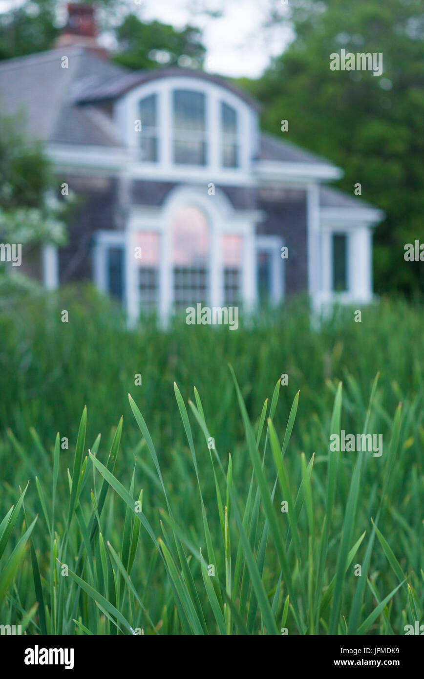 Estados Unidos, Massachusetts, Cape Ann, Gloucester, punto oriental, casa y Marsh hierba Foto de stock