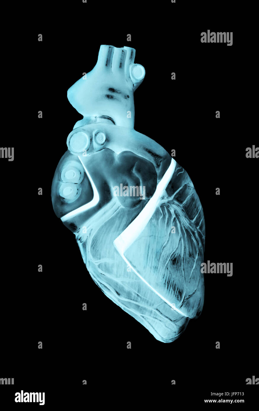 Ilustración 3D La radiografía de un corazón humano Fotografía de stock
