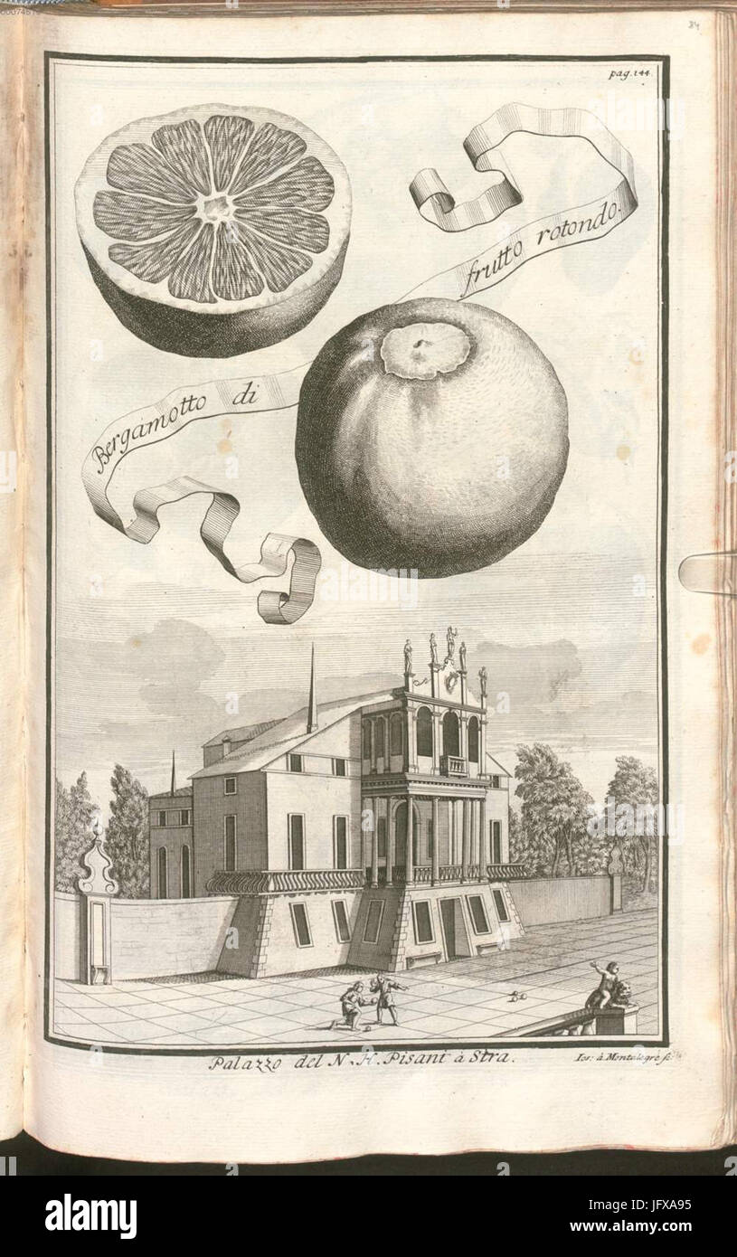 Bergamotto di frutto rotondo - Continuación der Nürnbergischen Hesperidum - Volckamer, Johann Christoph - Nuremberg, 1714 Foto de stock