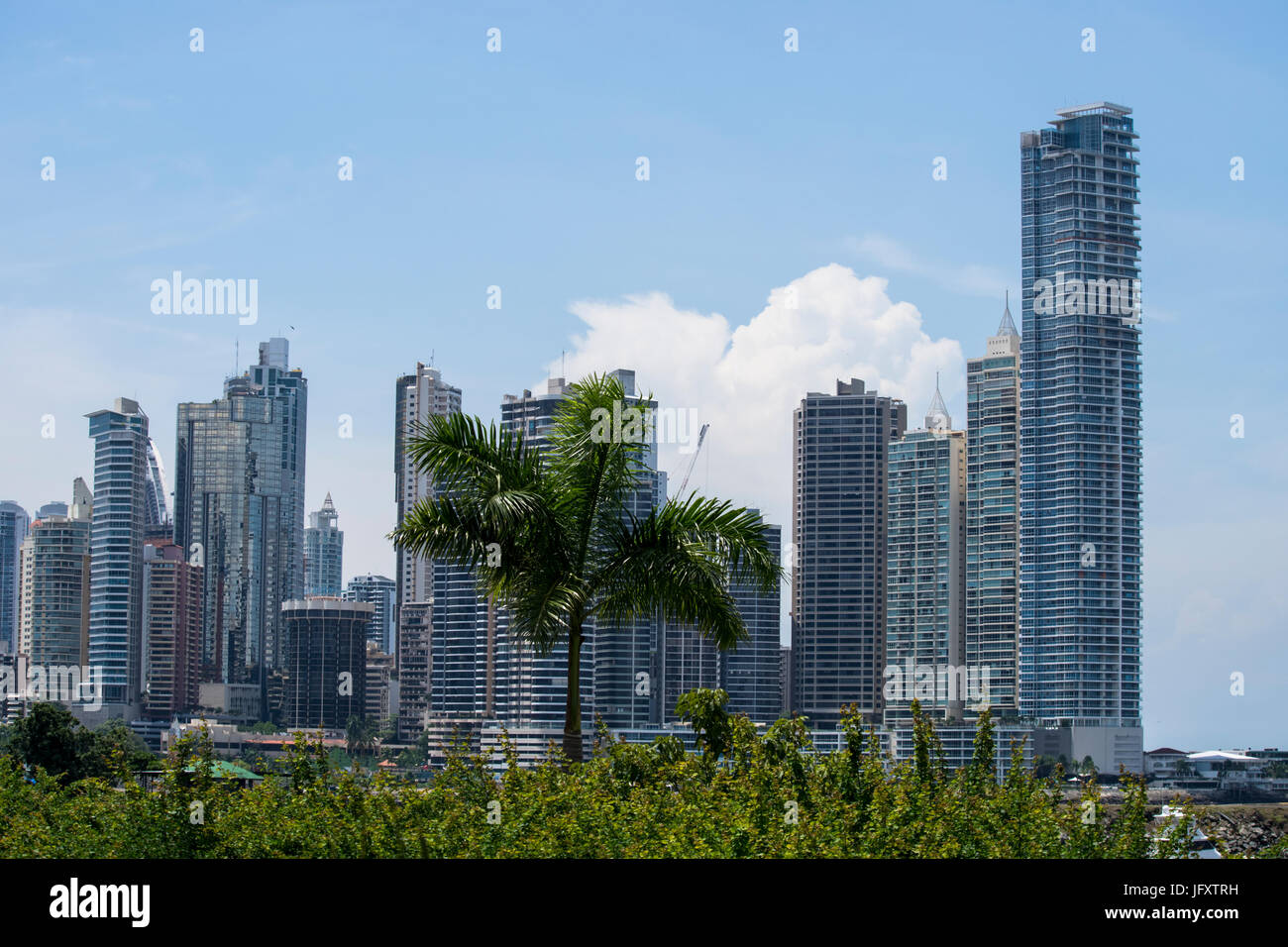 Paitilla torres de apartamentos en la Ciudad de Panamá Fotografía de