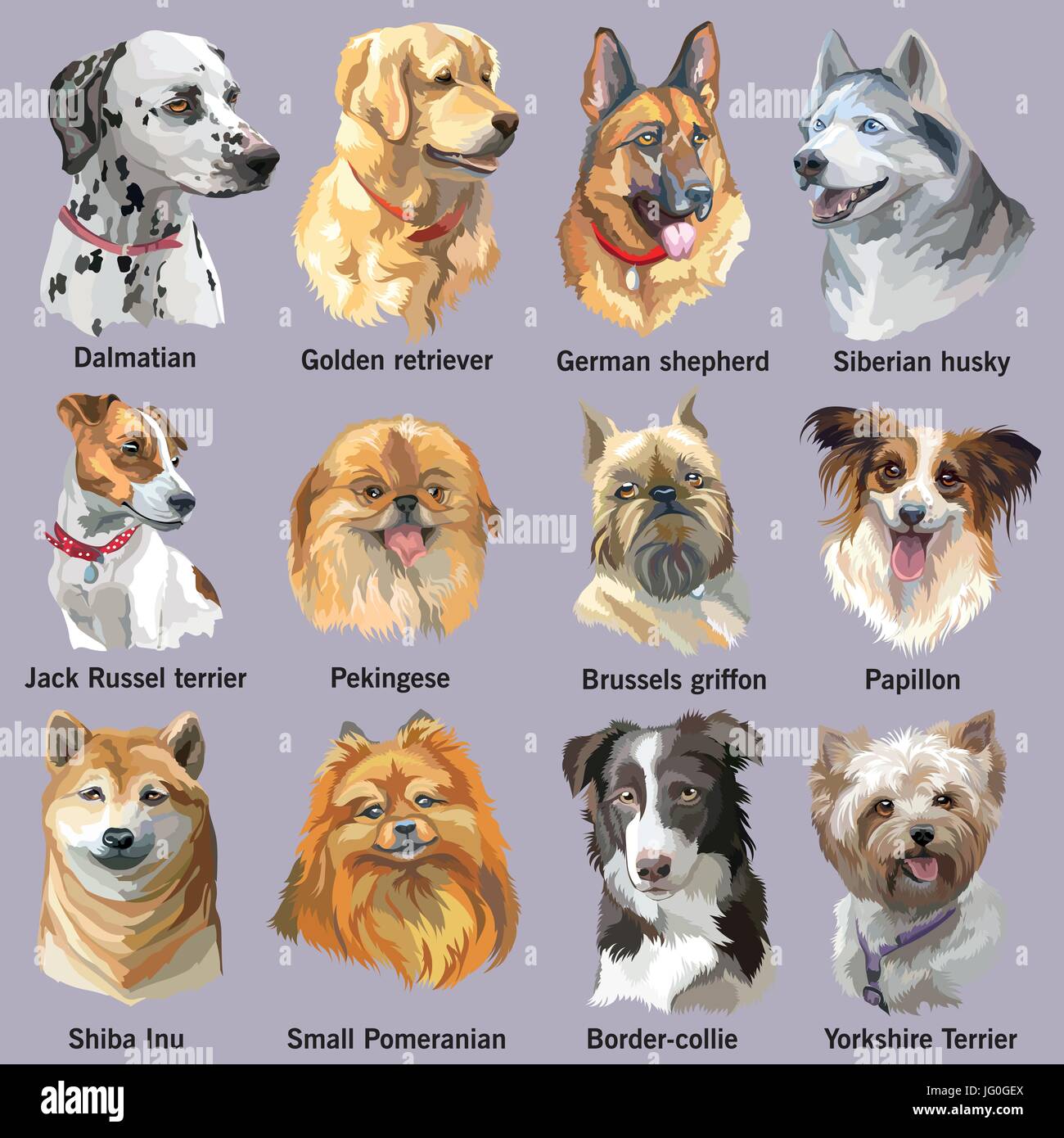 Silueta De Perro Husky Siberiano Fotograf as E Im genes De Alta 