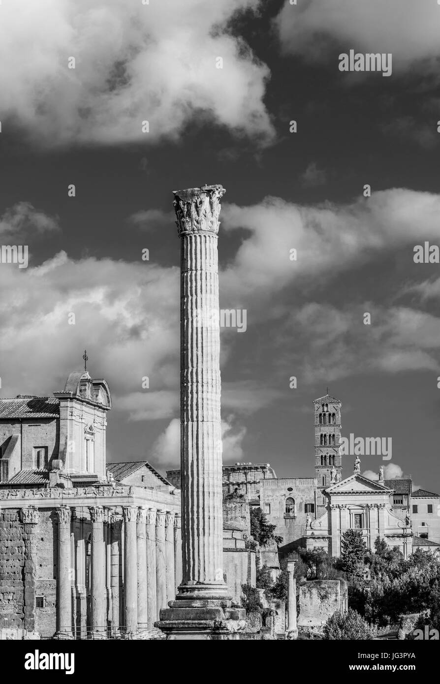 Foro Romano ruinas antiguas y las iglesias con la columna de Phocas (Blanco y negro) Foto de stock
