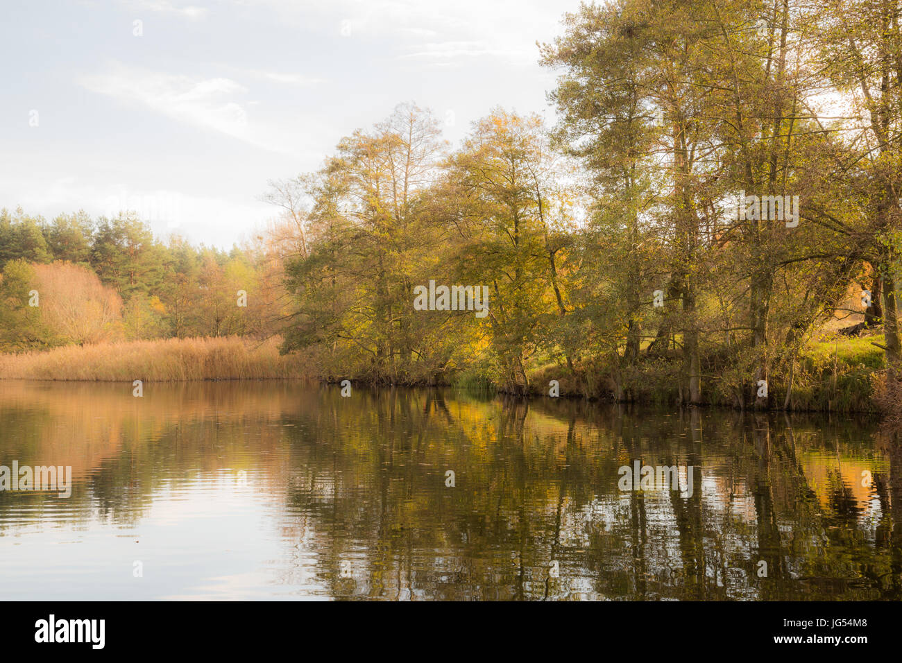 Lagos y naturaleza en Polonia. Temprano en la mañana en un lago polaca, Sunrise y Haze. Masuria, Masuren, Mazury. Foto de stock