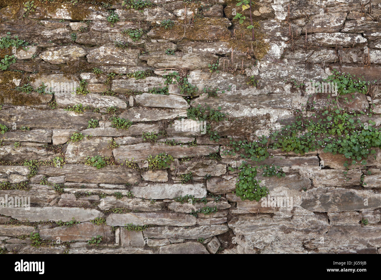 Mampostería de piedra antigua. Textura de fondo Fotografía de stock - Alamy