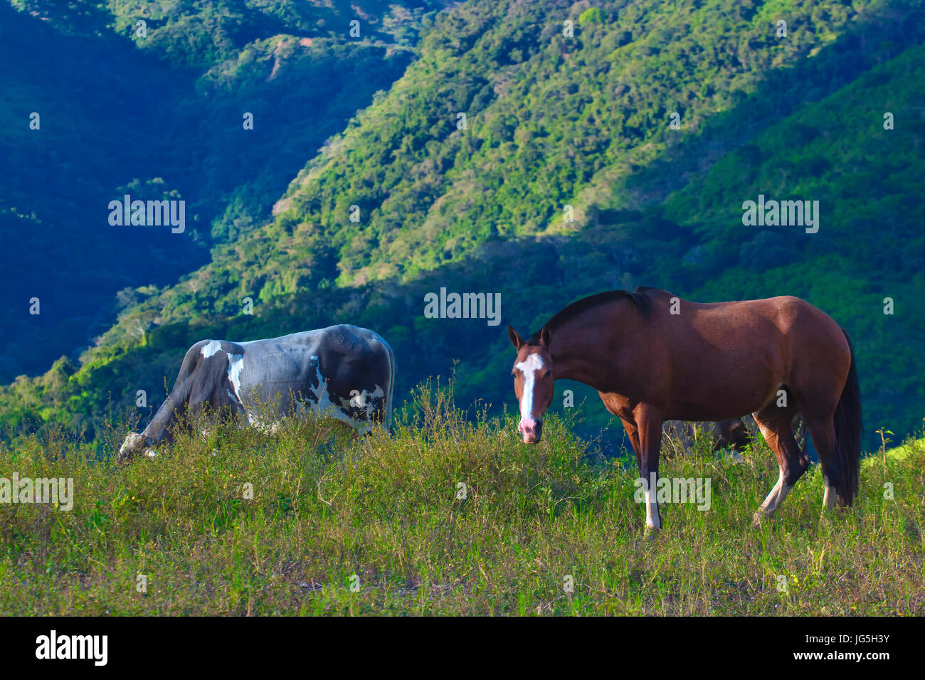 Cordillera de tilaran fotografías e imágenes de alta resolución Alamy