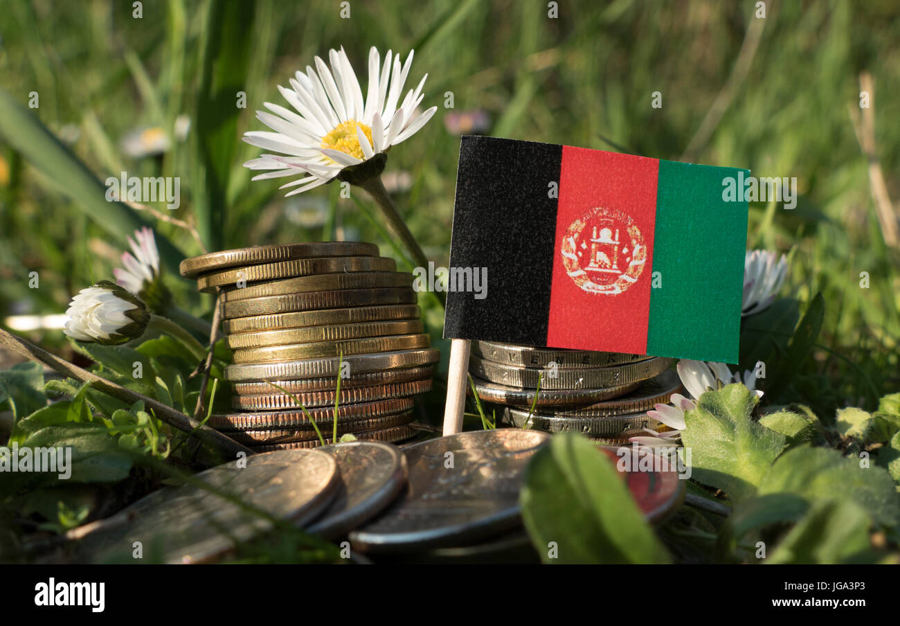 Flor nacional de afganistán fotografías e imágenes de alta resolución - Alamy Flor nacional de afganistán fotografías e imágenes de alta resolución - Alamy
