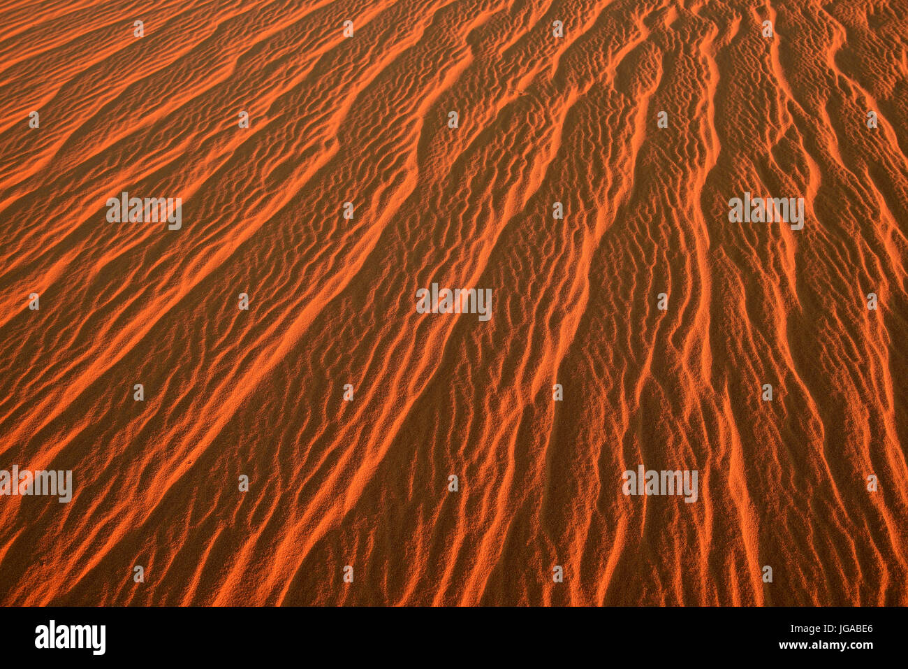 Ondulaciones de arena, textura sobre una duna de arena, el desierto del Sahara, Argelia Foto de stock