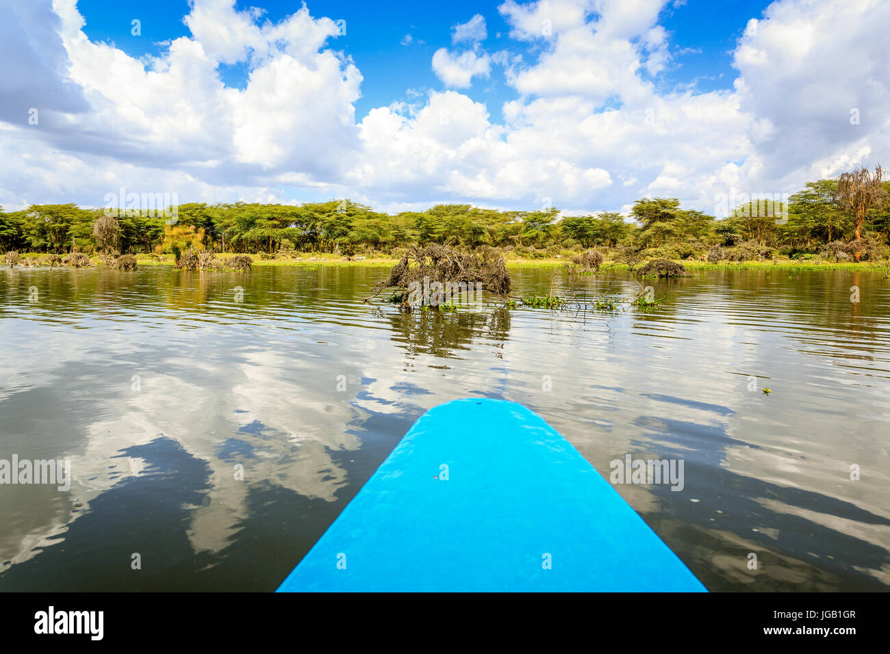 Crucero por el lago Naivasha canoa azul, Kenia, África oriental Foto de stock