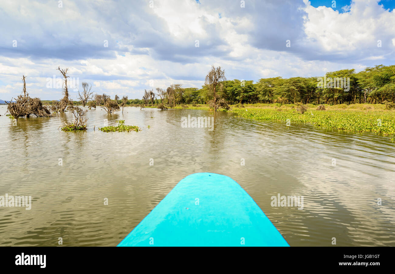 Crucero por el lago Naivasha canoa azul, Kenia, África oriental Foto de stock