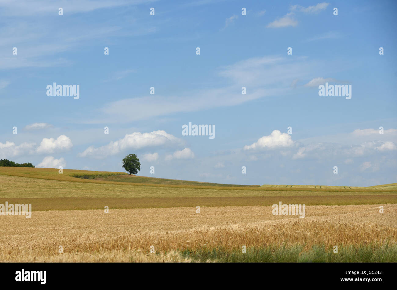 El Valle del Loira, cerca de Orleans, Francia Foto de stock