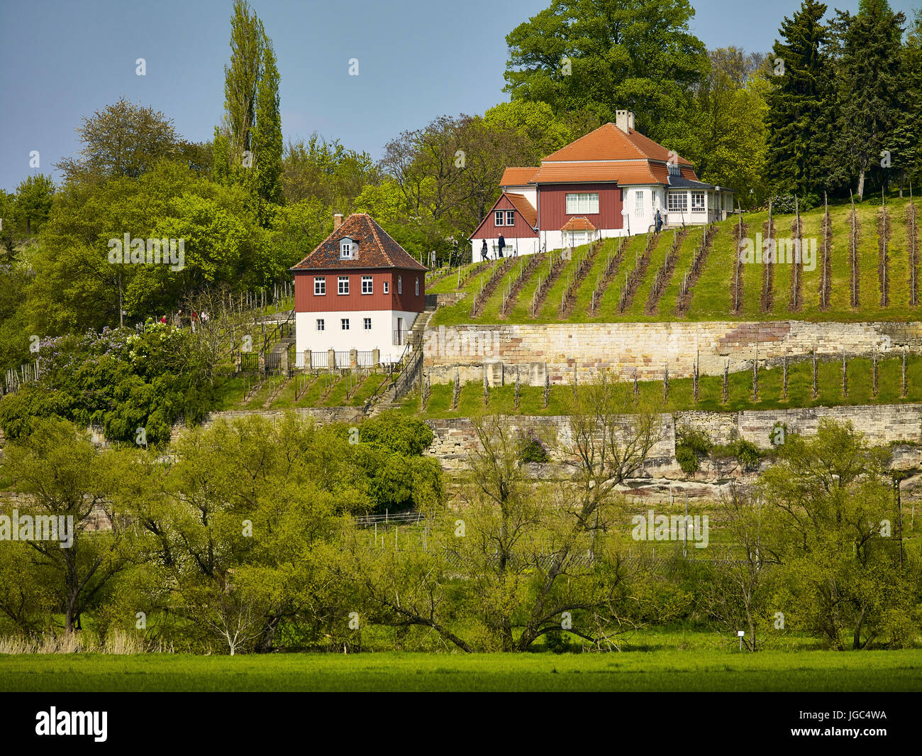 En la viña, Klingerhaus Großjena, Naumburg, Burgenlandkreis, Sajonia-Anhalt Foto de stock