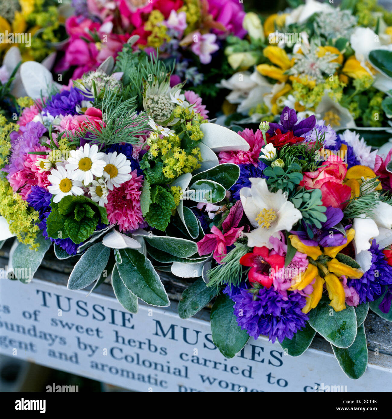 Ramos de flores brillantes fotografías e alta resolución - Alamy