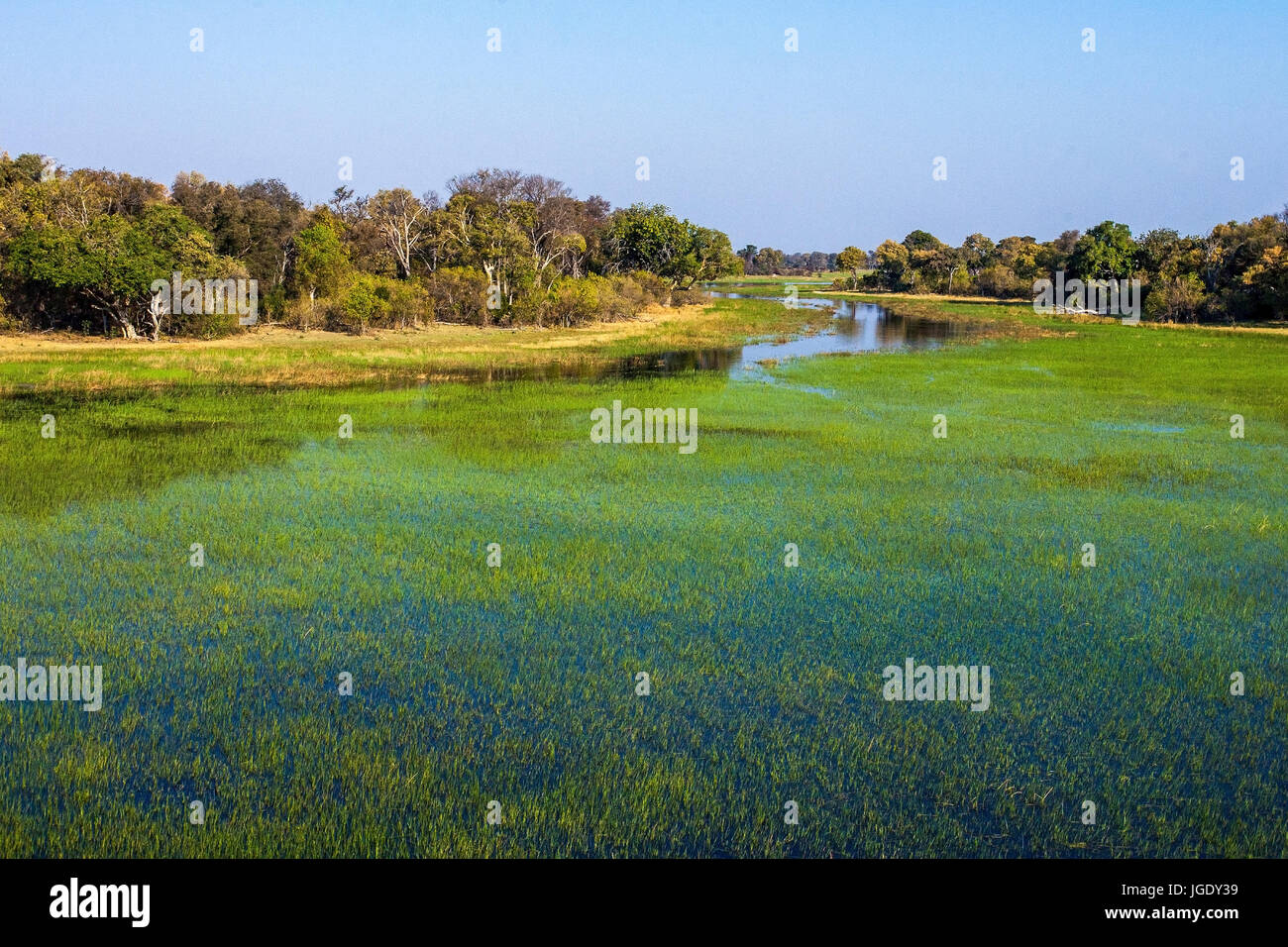 Delta Okawango, Botswana, Okawango-Delta Foto de stock