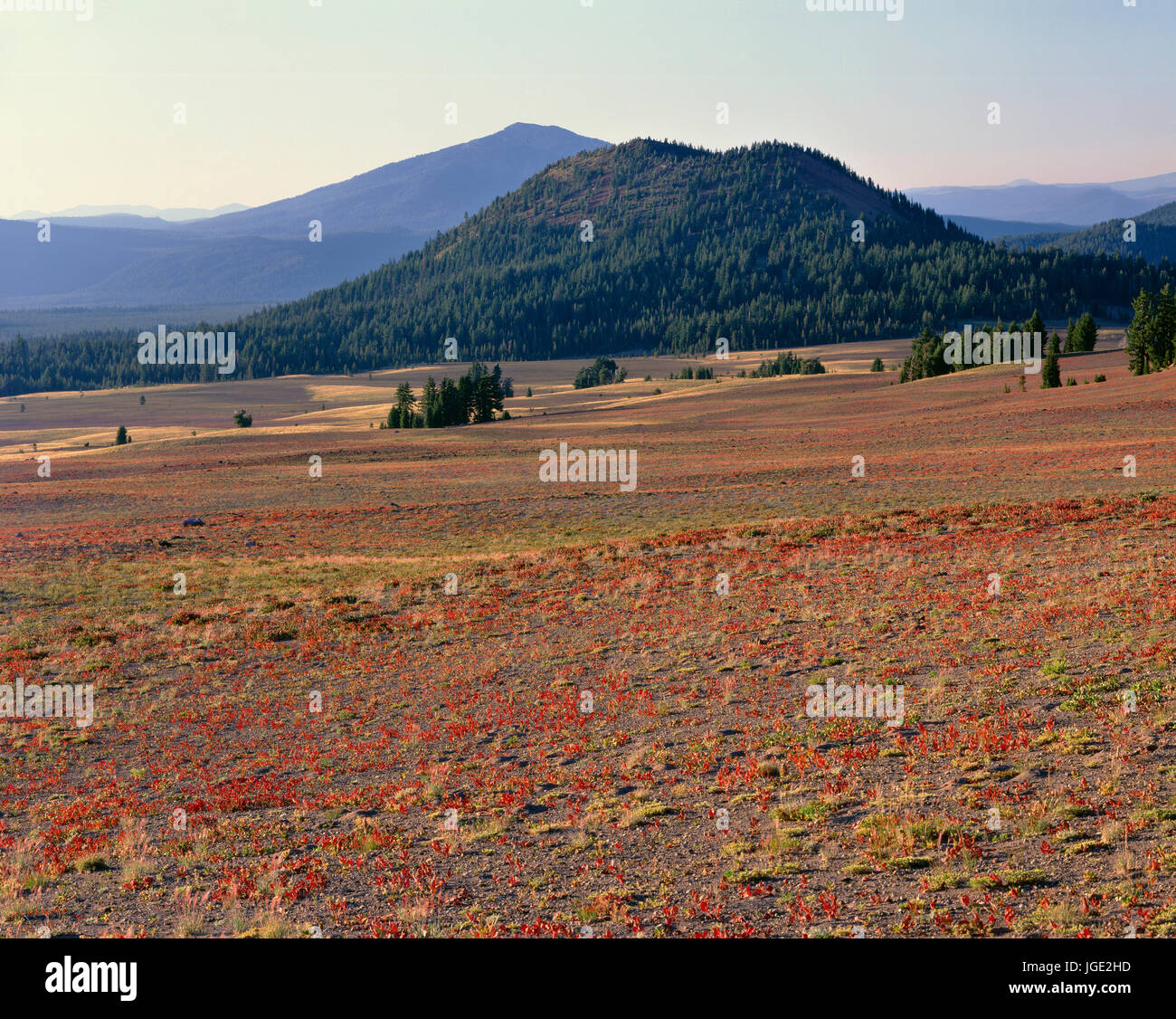 USA, Oregon, el Parque Nacional del Lago del Cráter, cono rojo, un cono de escoria, con vistas a la llanura de piedra pómez y cenizas, mientras que el Monte Bailey se eleva en la distancia. Foto de stock