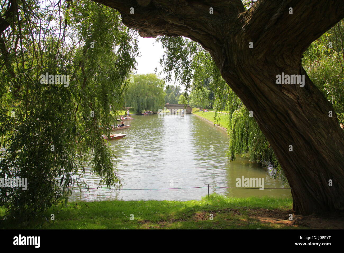 Viaje fluvial de Cambridge, remar Foto de stock