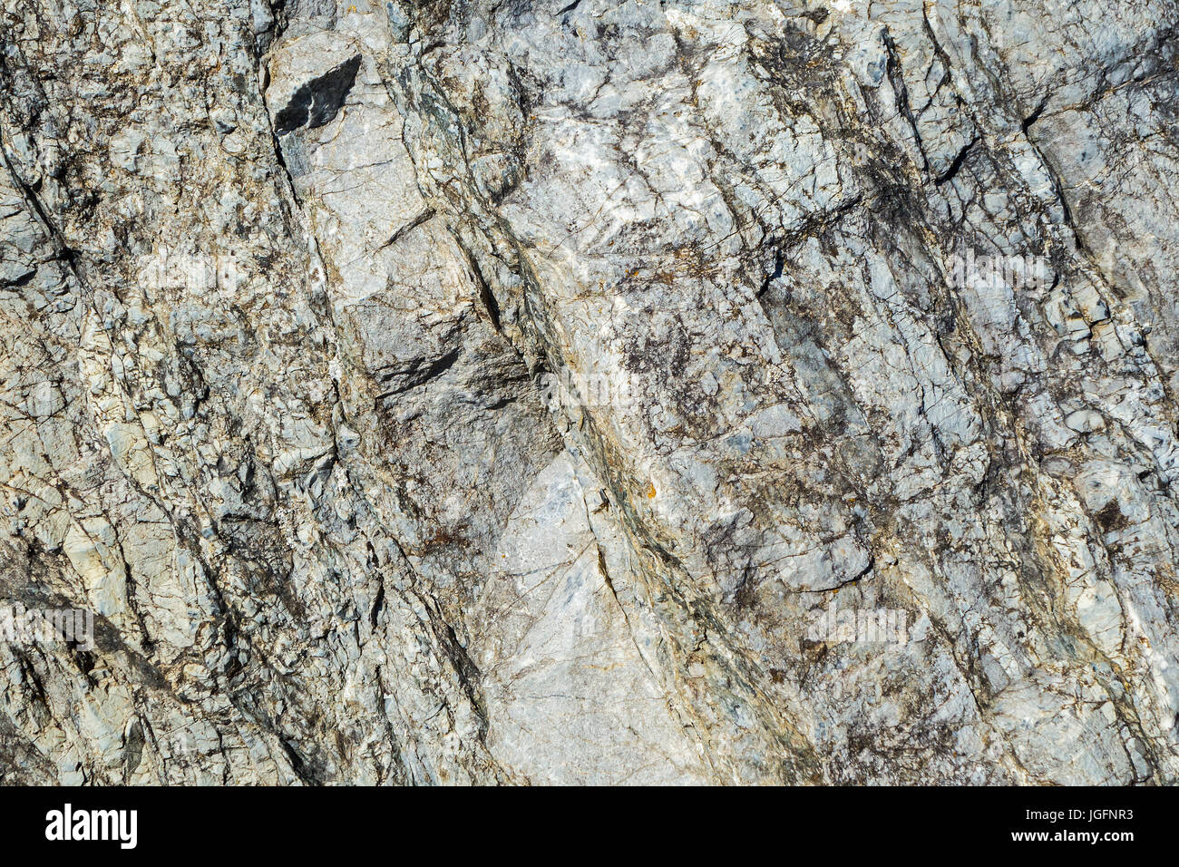 La caliza, roca sedimentaria compuesta de organismos marinos, cerca mostrando la estructura y textura de grano Foto de stock