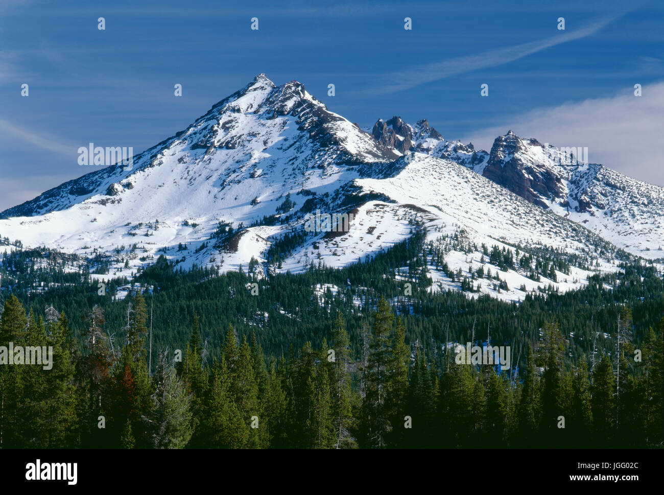 USA, Oregon, Deschutes National Forest, Otoño nieve en rota arriba. Foto de stock