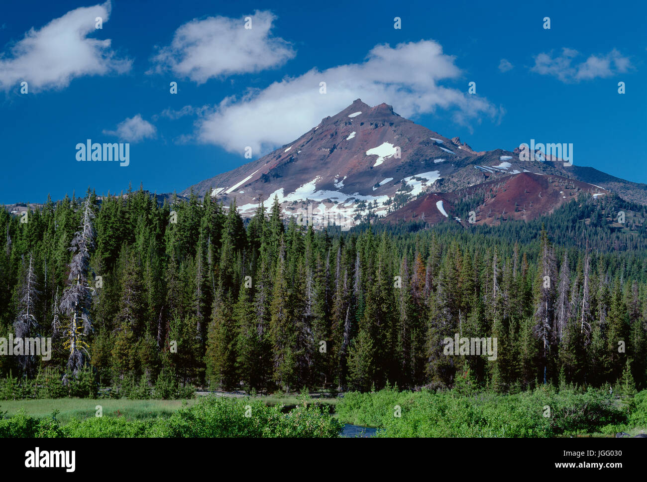 USA, Oregon, Deschutes National Forest, lado sur rotos de la parte superior se eleva por encima de los bosque de coníferas, arbustos y Creek. Foto de stock