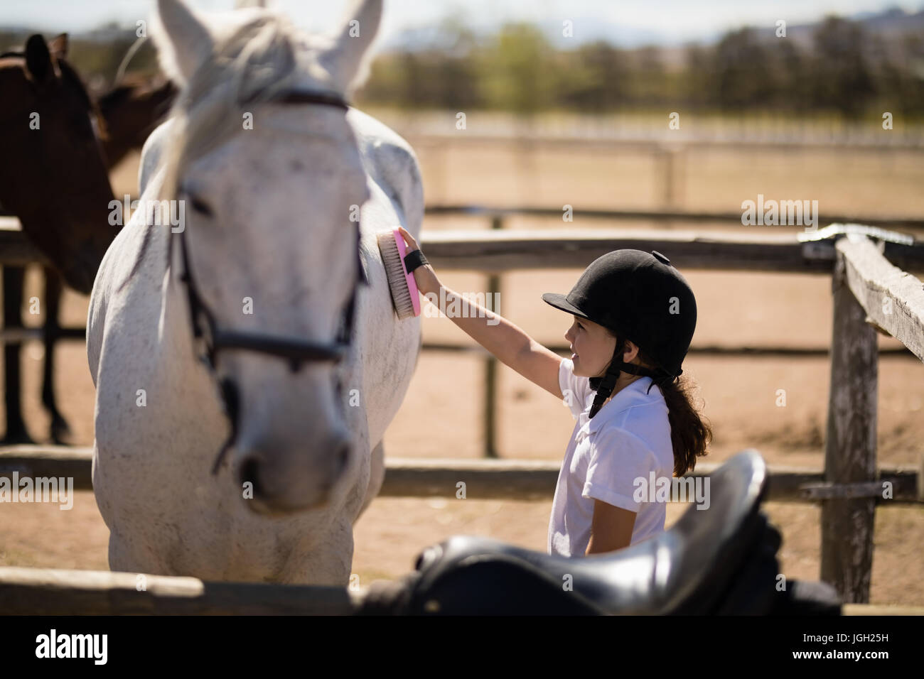 Chica grooming el caballo en el rancho en un día soleado Foto de stock