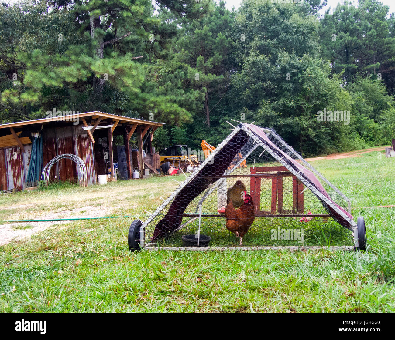 Rotación de pastoreo casa sobre ruedas de gallina, gallina Foto de stock