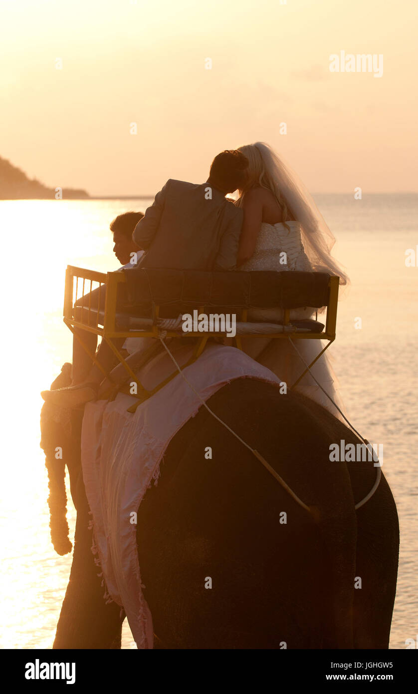 Tailandia - Koh Samui - bodas para extranjeros - con el elefante (Elephas maximus) Koh Samui, bodas para extranjeros, ir al mar con elefantes, Tailandia, 201 Foto de stock