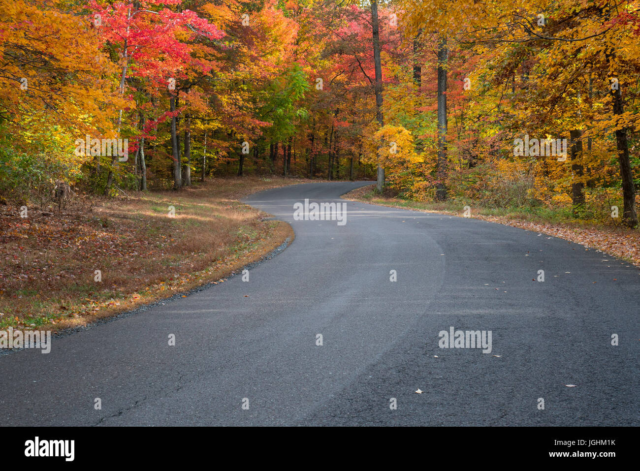 Conduzca a lo largo de una carretera de montaña con colorido follaje de otoño. Foto de stock