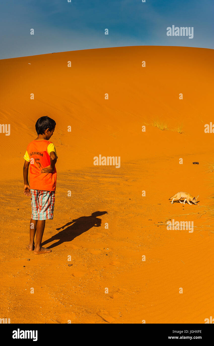 El muchacho está tratando de capturar un zorro Fennec desierto () en Merzouga desierto en Marruecos Foto de stock