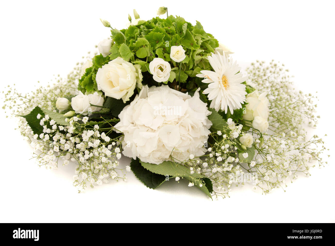 Blanco y verde flor Hortensia o Hydrangea Hortensia con rosas blancas y gypsophila en blanco el cuadro. El desmalezado de decoración Fotografía de stock - Alamy Blanco y verde flor Hortensia o Hydrangea Hortensia con rosas blancas y gypsophila en blanco el cuadro. El desmalezado de decoración Fotografía de stock - Alamy