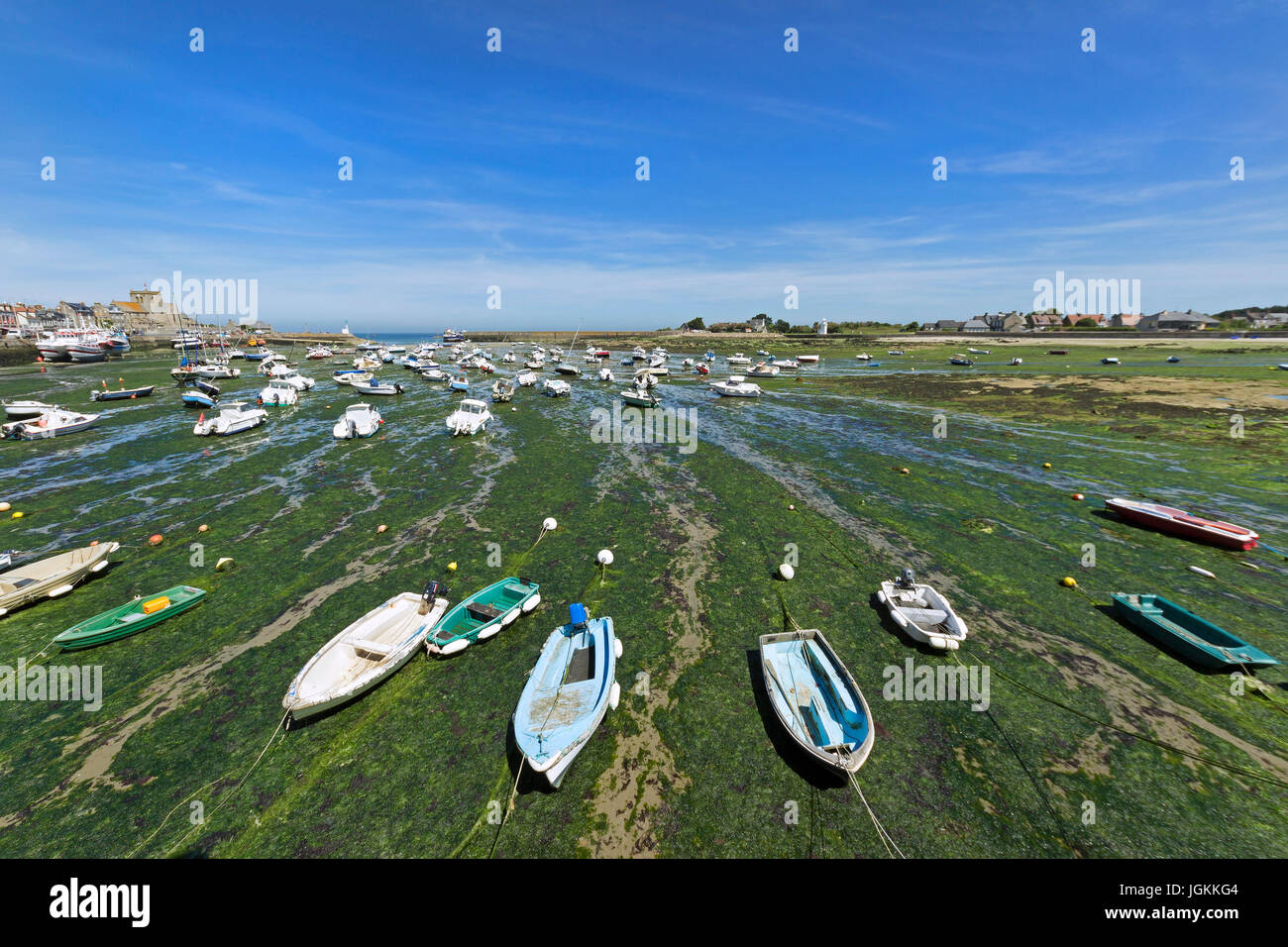 Marea baja en Barfleur, Normandía, Francia. Foto de stock