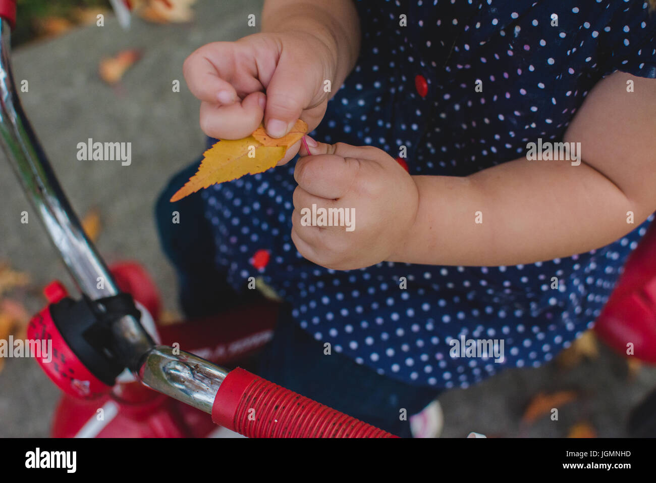Un joven niño mantenga una hoja amarilla en otoño. Foto de stock