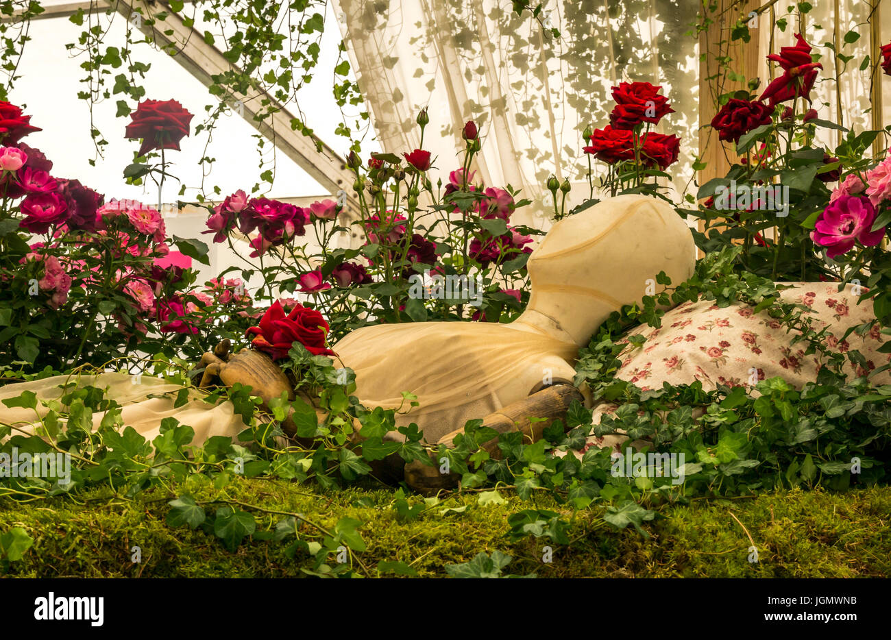 Una exposición floral Bed of Roses, Festival of Roses en RHS Flower Show, Inglaterra, Reino Unido Foto de stock