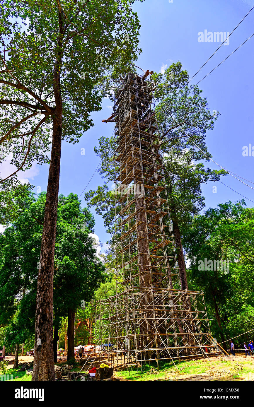 Camboya Siem Reap Bayon árbol majestuoso proyecto de conservación Foto de stock