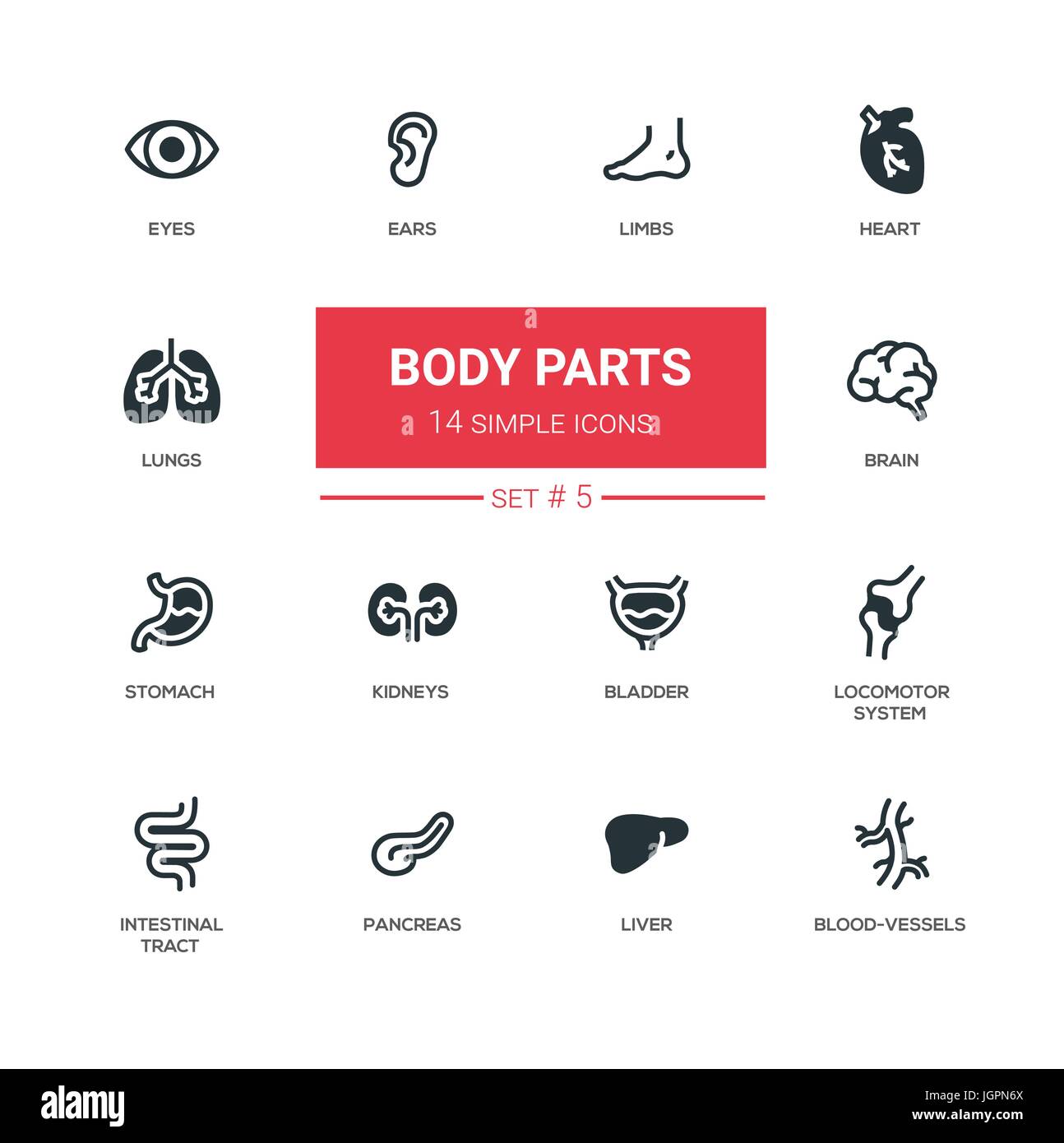 Las partes del cuerpo - Juego de moderno diseño vectorial iconos, pictogramas. Los ojos, las orejas, las extremidades, el corazón, los vasos sanguíneos, los pulmones, el cerebro, la vejiga, el hígado, el estómago kidne Ilustración del Vector