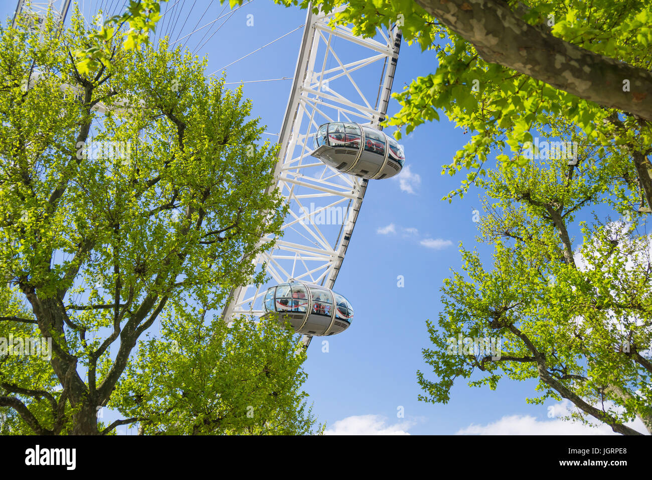 El London Eye en Southbank de Londres, sobre un claro día de primavera. Foto de stock