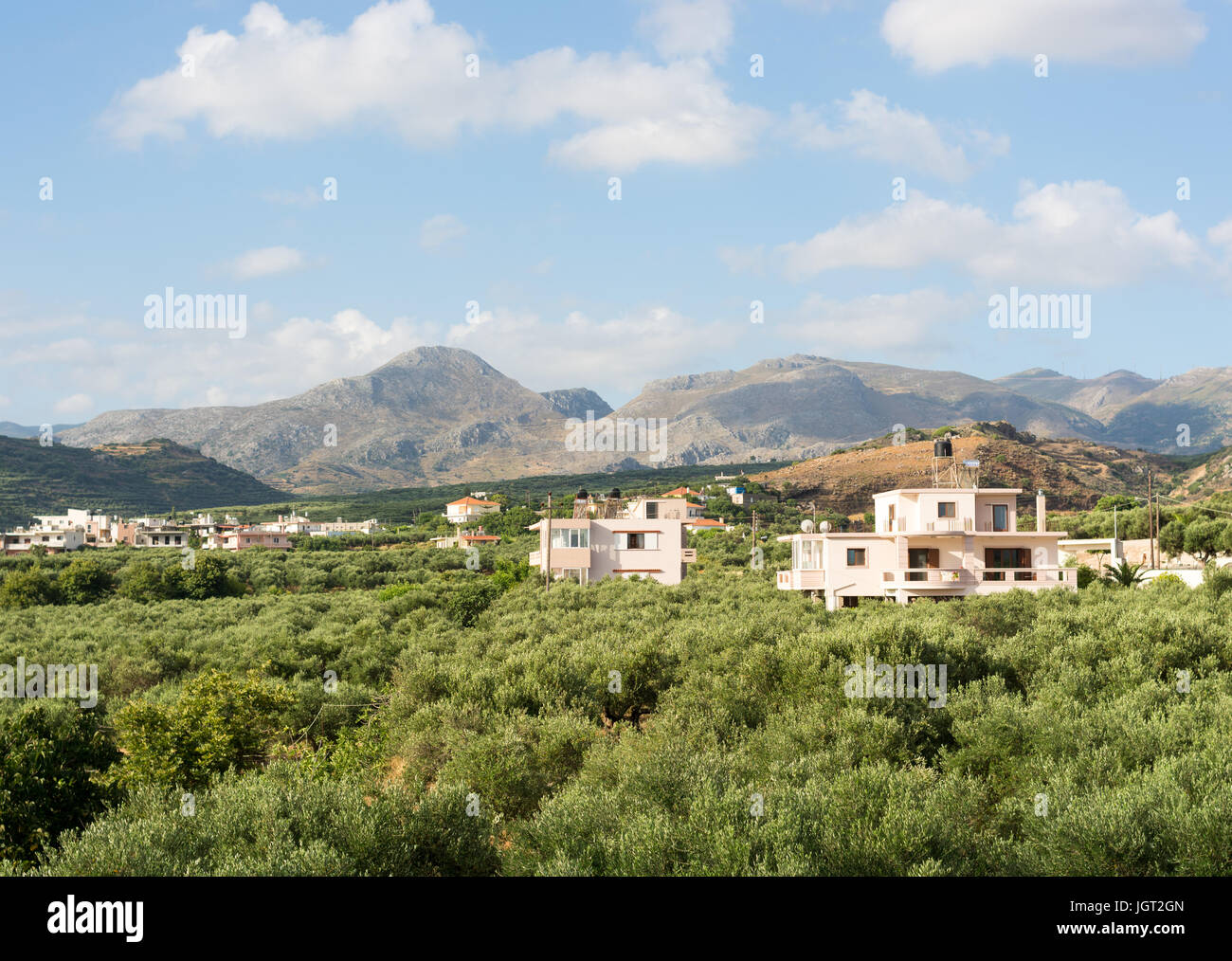 Casas y casas construidas entre y alrededor de los olivares en las estribaciones de las montañas de Creta Occidental, Kissamos, Creta, Grecia Foto de stock