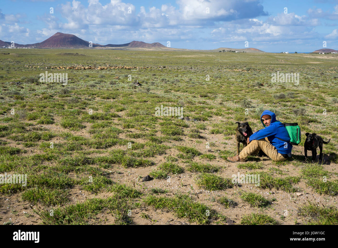 Herder de cabra con los perros pastores observando su Cabrero, Caleta de Famara, Lanzarote, Islas Canarias, Europa Foto de stock
