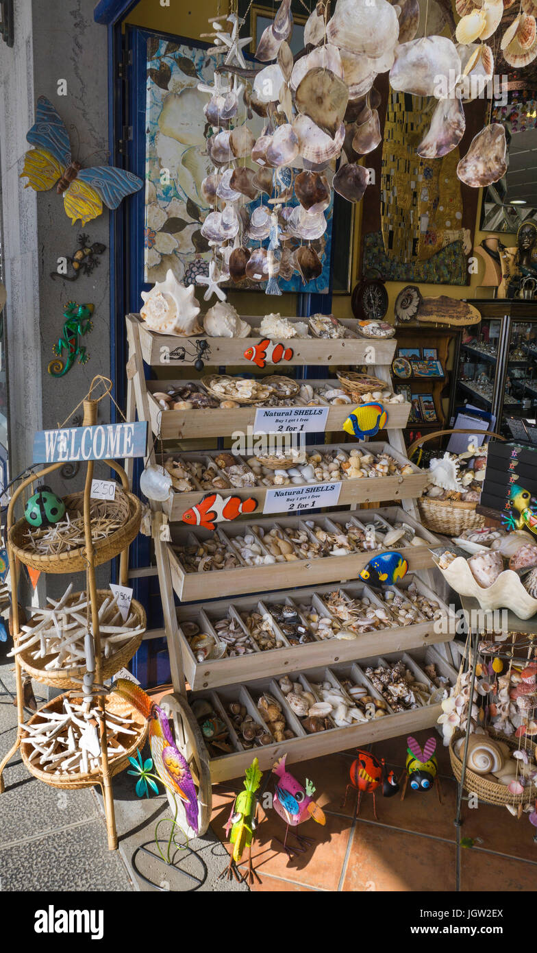 Tienda en puerto deportivo vende animales del mar muerto y conchas como recuerdos, Puerto Calero, Lanzarote, Islas Canarias, Europa Foto de stock