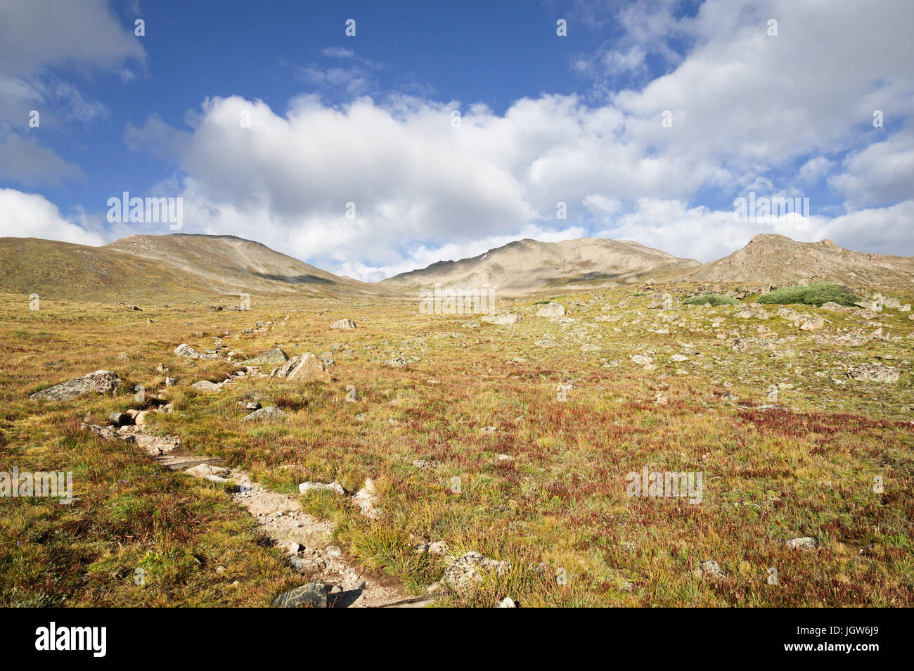 Sendero hacia la cumbre del monte enorme cruza la tundra alpina por encima de límite de vegetación arbórea Foto de stock