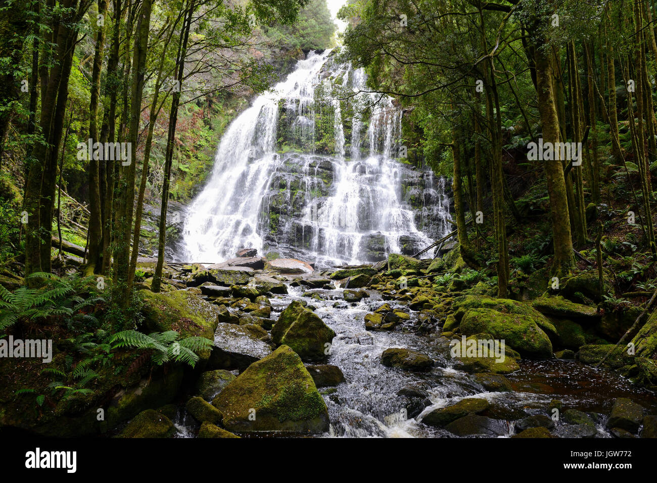 Nelson cae en el Franklin-Gordon Wild Rivers National Park en el oeste de Tasmania, Australia Foto de stock