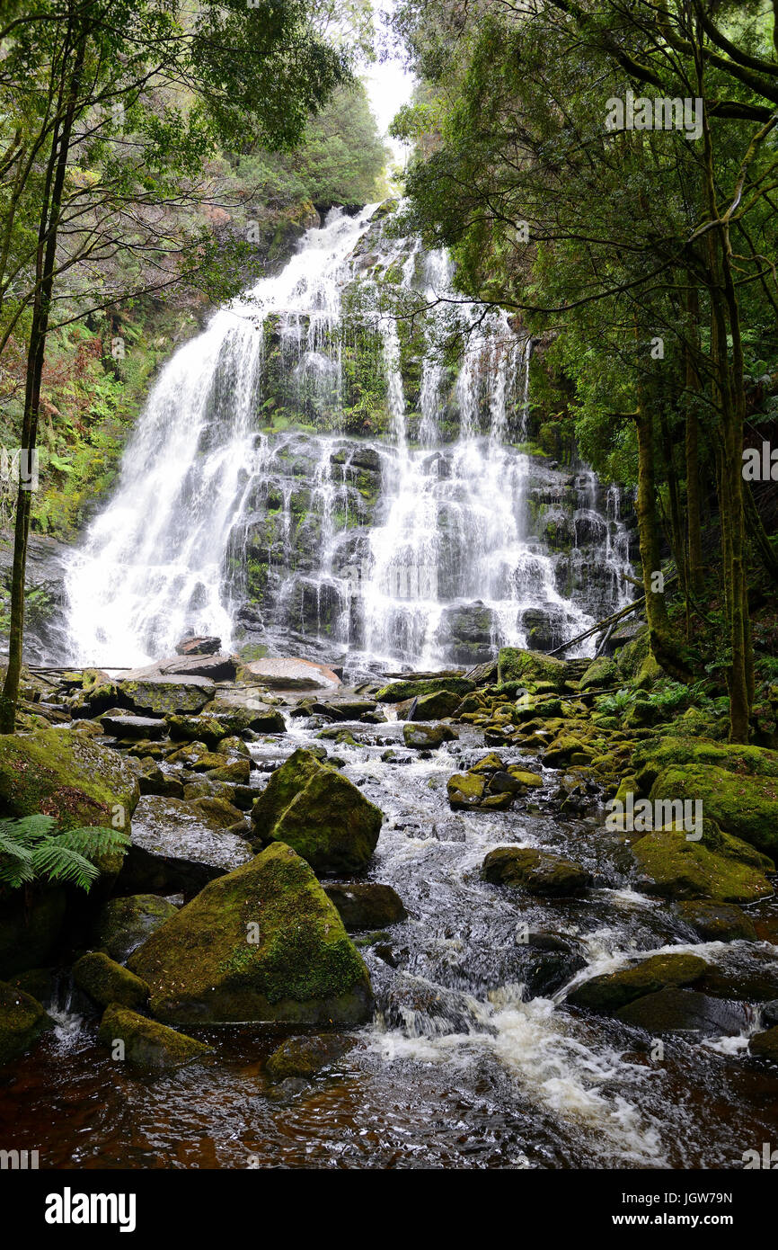 Nelson cae en el Franklin-Gordon Wild Rivers National Park en el oeste de Tasmania, Australia Foto de stock