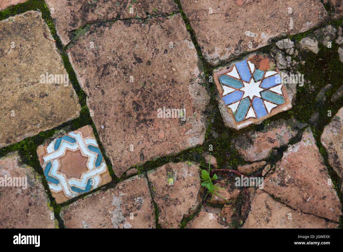 Estaño-español llamado azulejos vidriados azulejos del siglo XVI en el suelo del Jardin de las Flores (Jardín de Flores) en el Real Alcázar de Sevilla en Sevilla, Andalucía, España. Foto de stock