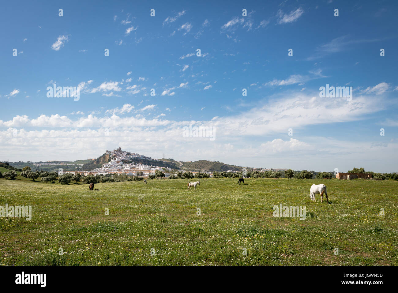 Vista bucólica de Arcos de la frontera desde el terreno con caballos, uno de los pueblos blancos, Andalucía, España, Europa Foto de stock