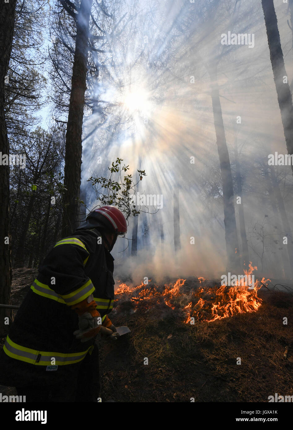 Nápoles gran incendio en el Parque Nacional del Vesubio Foto de stock
