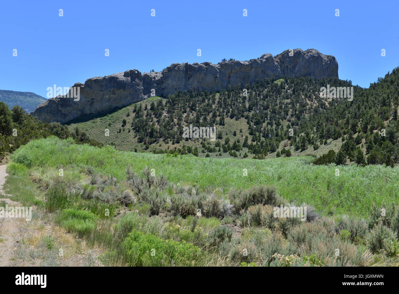Una pista de grava ejecutando a través de la cueva Lake State Park