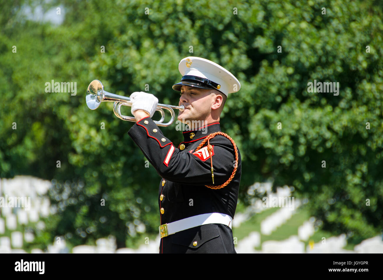 La Marina de los Estados Unidos desempeña bugler grifos a servicio del entierro en el Cementerio Nacional de Arlington, en Washington, D.C. Foto de stock