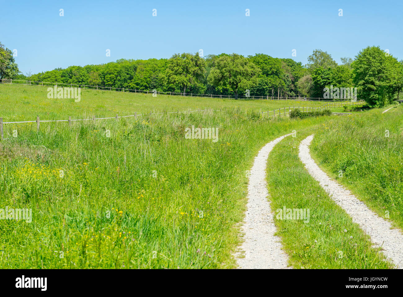 Idílico paisaje rural con el campo Path en tiempo de primavera en el sur de Alemania Foto de stock